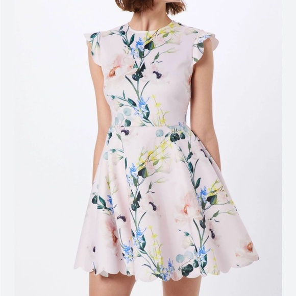 Ted Baker Karsali Elegance Scallop Skater Nude Pink Floral Cap Sleeve Dress 2 XS - Picture 7 of 16